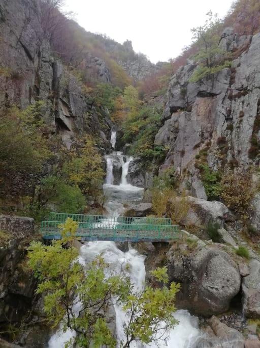Gite De Noe Au Ray-Pic Pereyres Exteriér fotografie