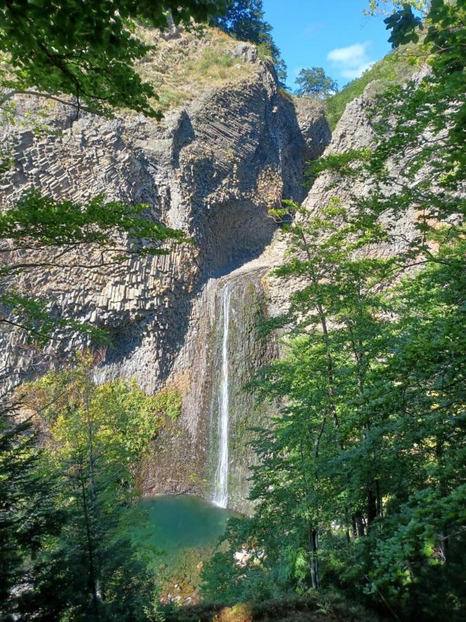Gite De Noe Au Ray-Pic Pereyres Exteriér fotografie
