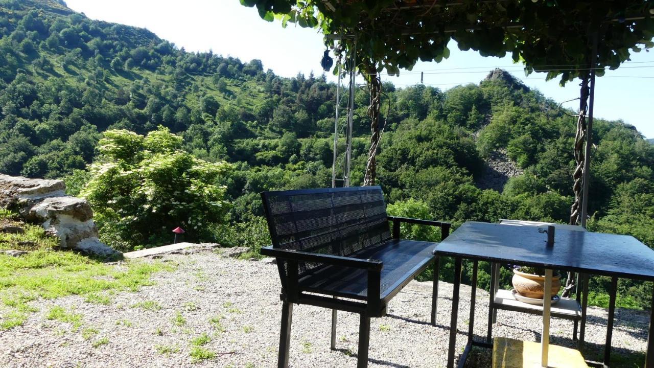Gite De Noe Au Ray-Pic Pereyres Exteriér fotografie